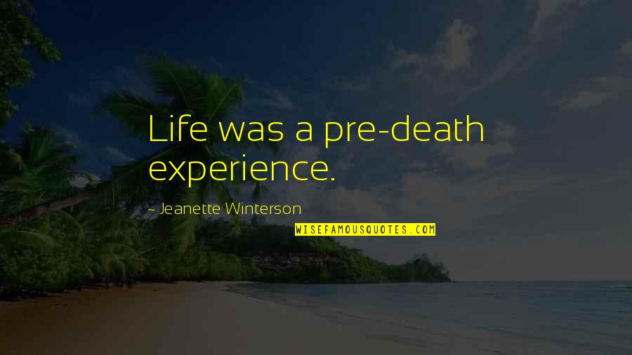 State Testing Inspirational Quotes By Jeanette Winterson: Life was a pre-death experience.