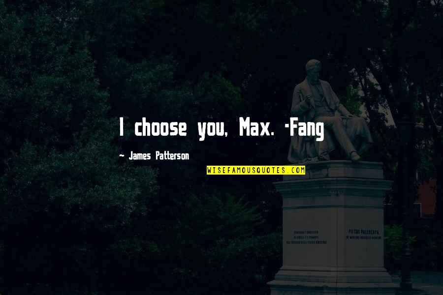 Statecraft Ir Quotes By James Patterson: I choose you, Max. -Fang