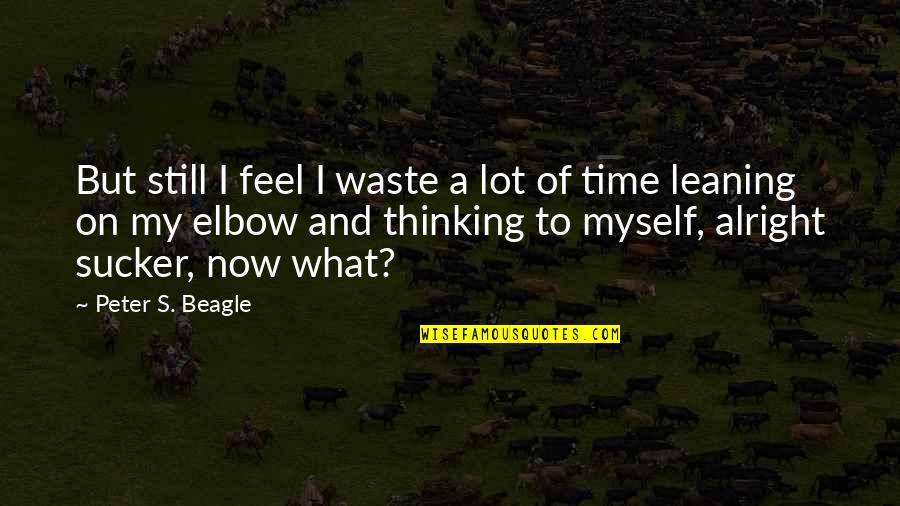 Statiking Quotes By Peter S. Beagle: But still I feel I waste a lot