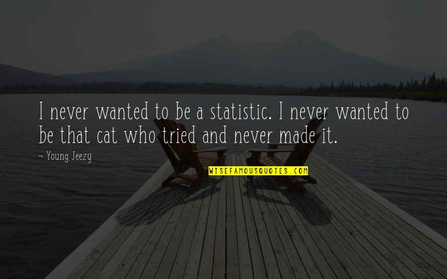 Statistic Quotes By Young Jeezy: I never wanted to be a statistic. I