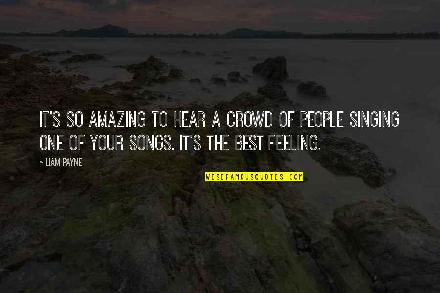 Statuaries Ny Quotes By Liam Payne: It's so amazing to hear a crowd of Statuaries Ny Quotes By Liam Payne: It's so amazing to hear a crowd of