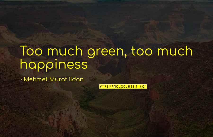 Status In Facebook Quotes By Mehmet Murat Ildan: Too much green, too much happiness