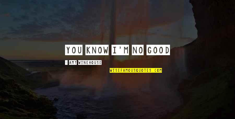 Stauber Usa Quotes By Amy Winehouse: You know I'm no good