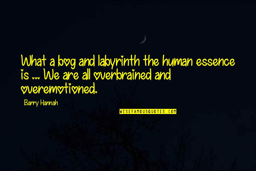 Staurastrum Quotes By Barry Hannah: What a bog and labyrinth the human essence Staurastrum Quotes By Barry Hannah: What a bog and labyrinth the human essence