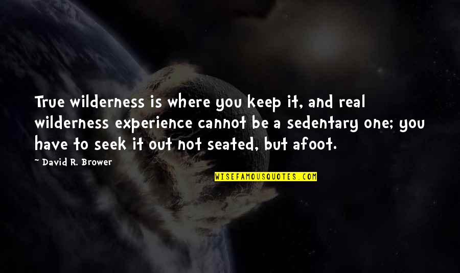 Stavov Slovesa V Anglictine Quotes By David R. Brower: True wilderness is where you keep it, and