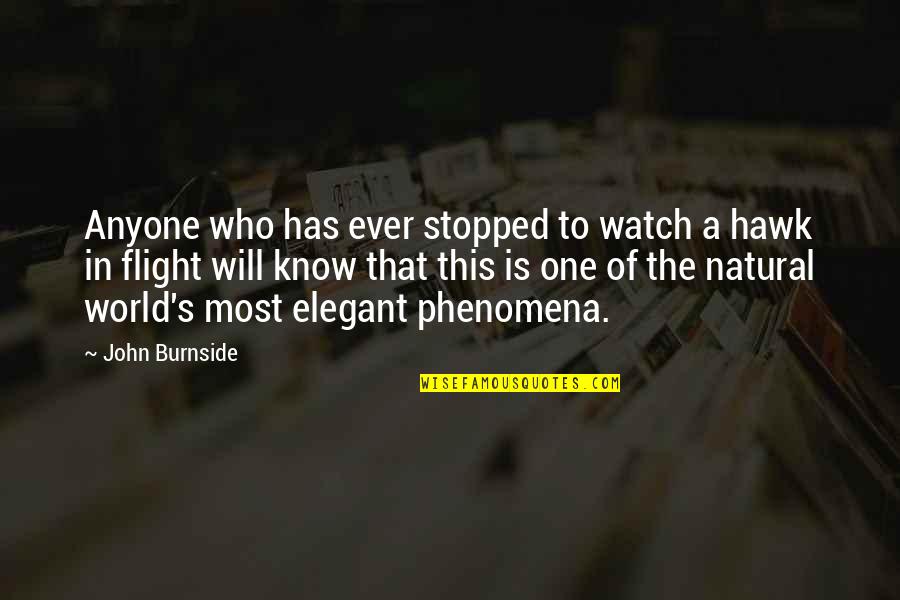 Stavros Halkias Quotes By John Burnside: Anyone who has ever stopped to watch a