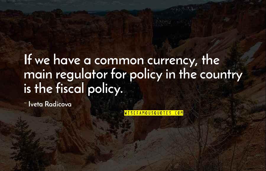 Stavroula Houmpavlis Quotes By Iveta Radicova: If we have a common currency, the main
