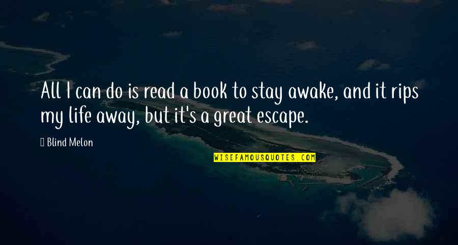 Stay Awake Quotes By Blind Melon: All I can do is read a book