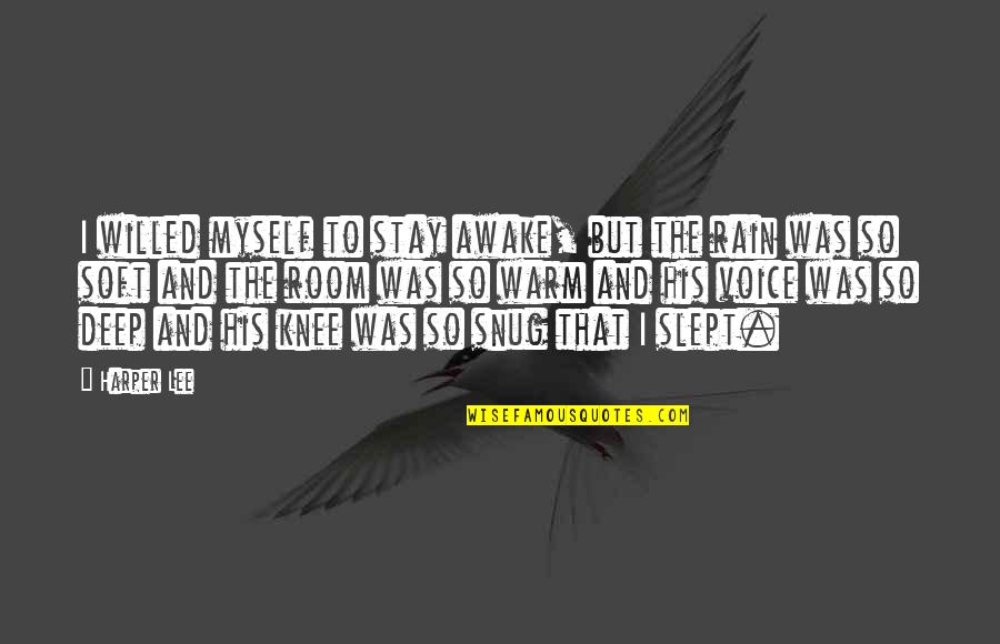 Stay Awake Quotes By Harper Lee: I willed myself to stay awake, but the