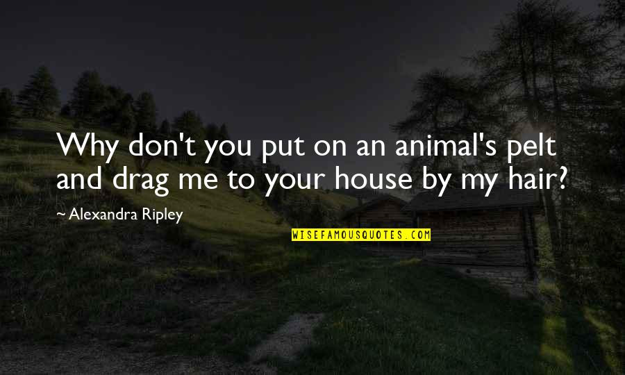 Stay Drug Free Quotes By Alexandra Ripley: Why don't you put on an animal's pelt