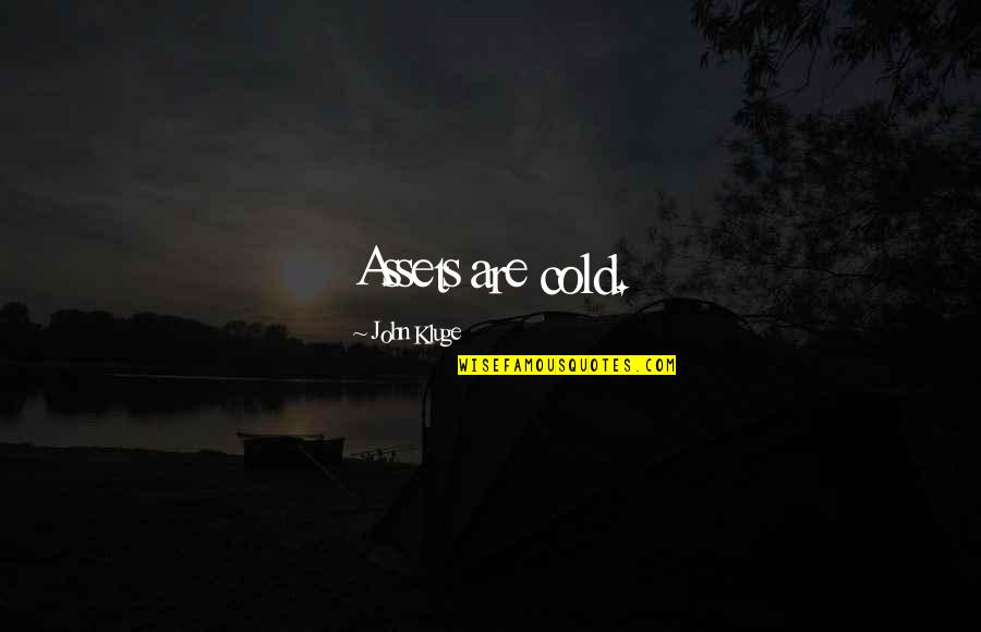 Stay Elevated Quotes By John Kluge: Assets are cold.