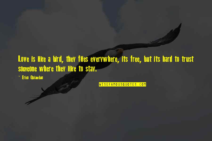 Stay Free Quotes By Erico Quiambao: Love is like a bird, they flies everywhere,