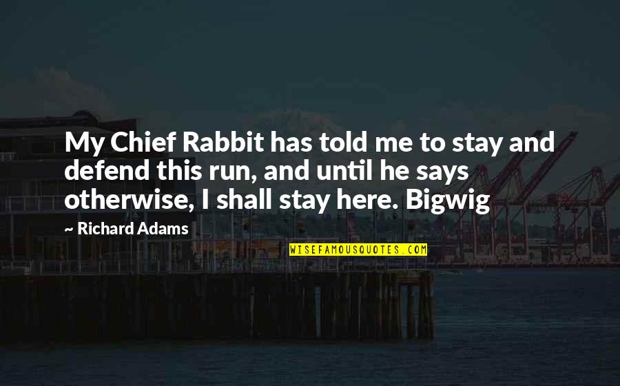 Stay Here Quotes By Richard Adams: My Chief Rabbit has told me to stay