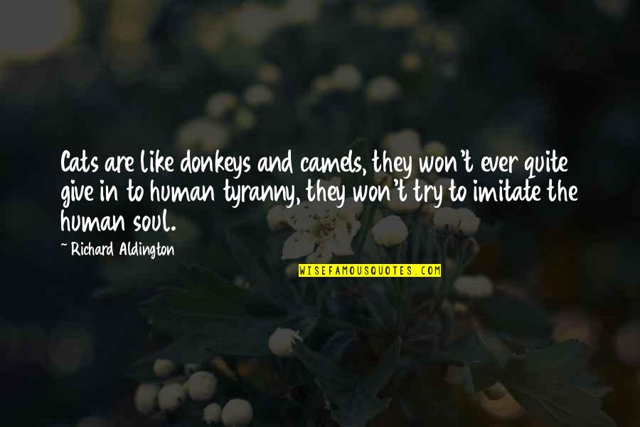 Stay Humble Hustle Hard Quotes By Richard Aldington: Cats are like donkeys and camels, they won't