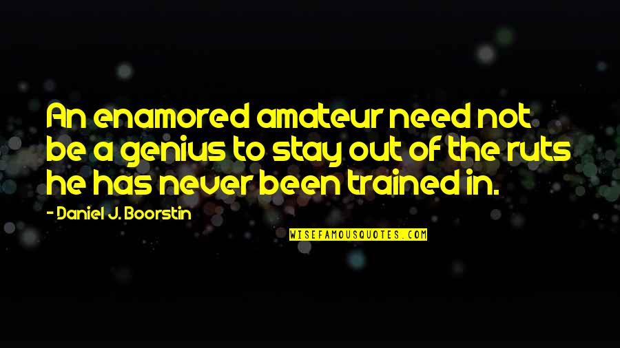 Stay I Need You Quotes By Daniel J. Boorstin: An enamored amateur need not be a genius Stay I Need You Quotes By Daniel J. Boorstin: An enamored amateur need not be a genius