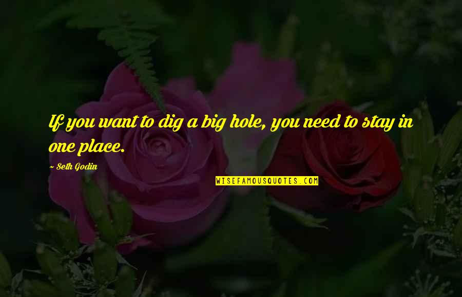 Stay I Need You Quotes By Seth Godin: If you want to dig a big hole,