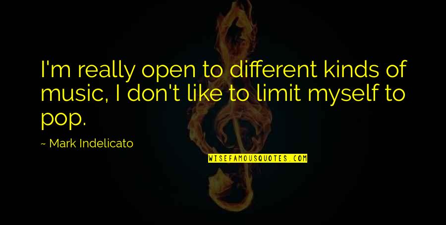 Stay Innocent Quotes By Mark Indelicato: I'm really open to different kinds of music,