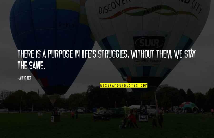 Stay The Same Quotes By Auliq Ice: There is a purpose in life's struggles. Without