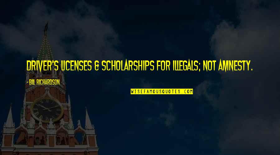 Staying Grounded In Life Quotes By Bill Richardson: Driver's licenses & scholarships for illegals; not amnesty.