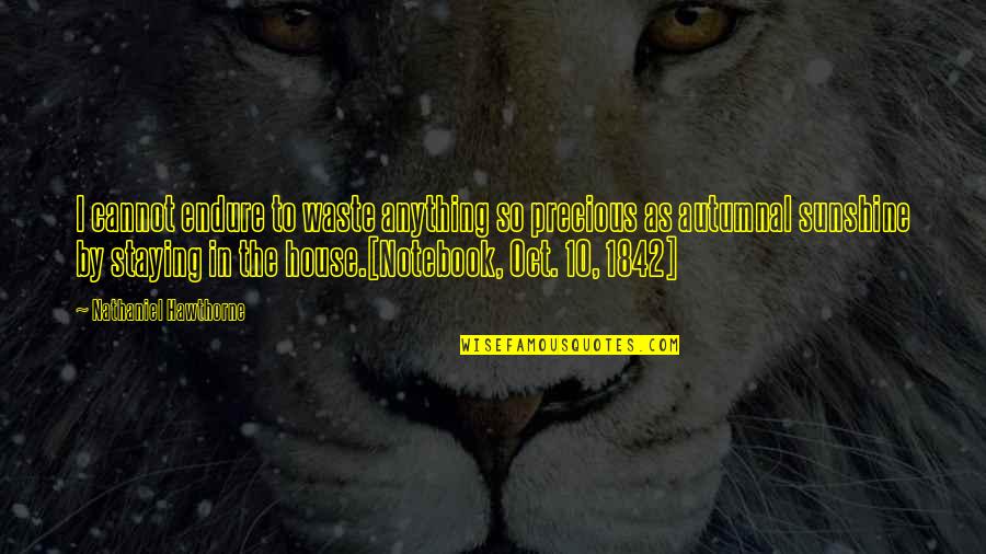 Staying In Quotes By Nathaniel Hawthorne: I cannot endure to waste anything so precious Staying In Quotes By Nathaniel Hawthorne: I cannot endure to waste anything so precious