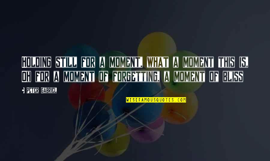 Staying Strong In A Relationship Quotes By Peter Gabriel: Holding still for a moment, what a moment