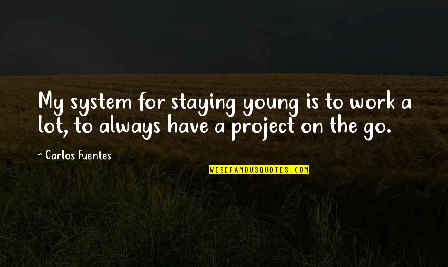 Staying Young Quotes By Carlos Fuentes: My system for staying young is to work
