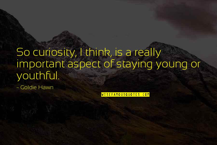 Staying Young Quotes By Goldie Hawn: So curiosity, I think, is a really important
