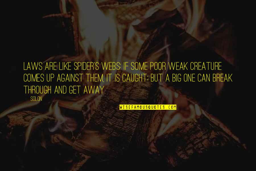 Staynd Quotes By Solon: Laws are like spider's webs: If some poor