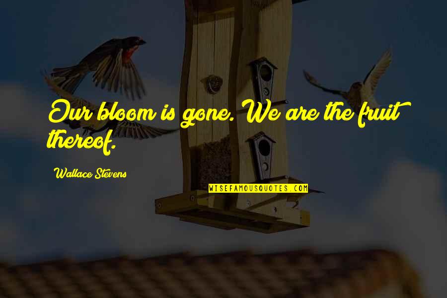 Steacy Ranch Quotes By Wallace Stevens: Our bloom is gone. We are the fruit Steacy Ranch Quotes By Wallace Stevens: Our bloom is gone. We are the fruit