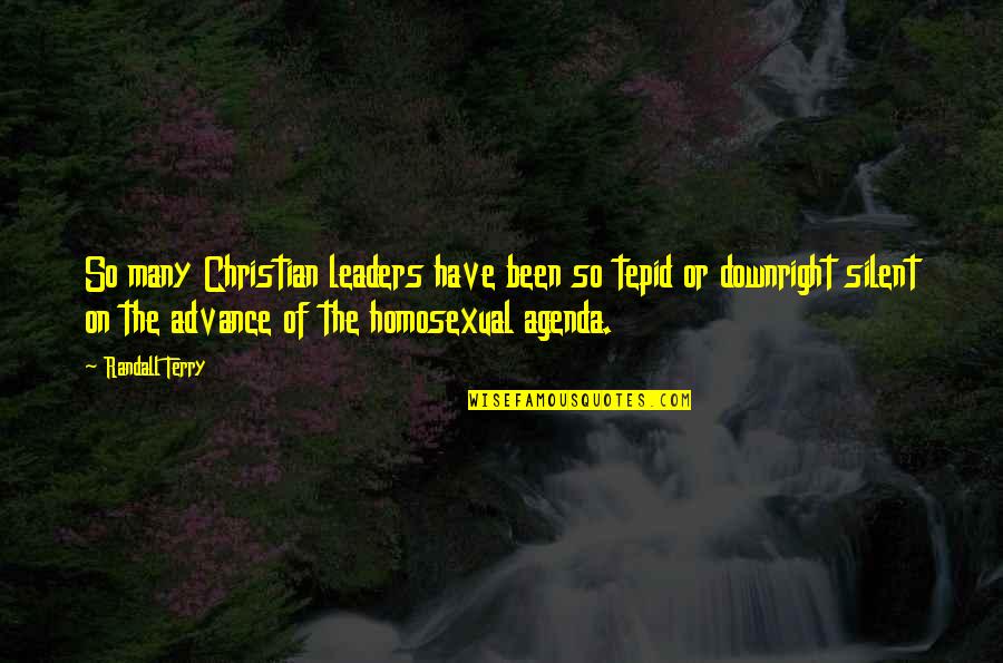 Stealing A Girlfriend Quotes By Randall Terry: So many Christian leaders have been so tepid Stealing A Girlfriend Quotes By Randall Terry: So many Christian leaders have been so tepid