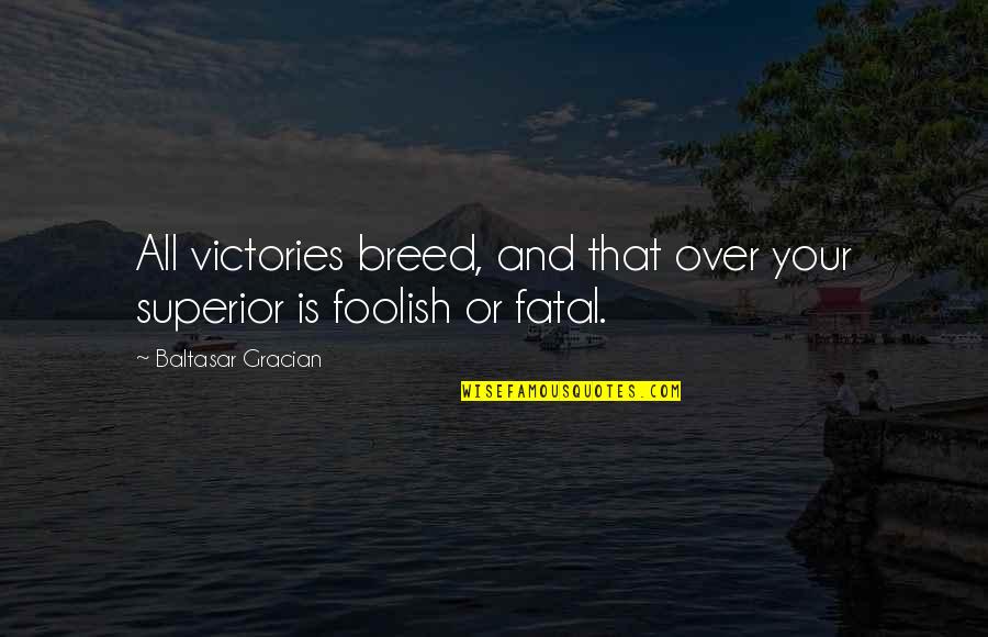 Stealing My Best Friend Quotes By Baltasar Gracian: All victories breed, and that over your superior Stealing My Best Friend Quotes By Baltasar Gracian: All victories breed, and that over your superior
