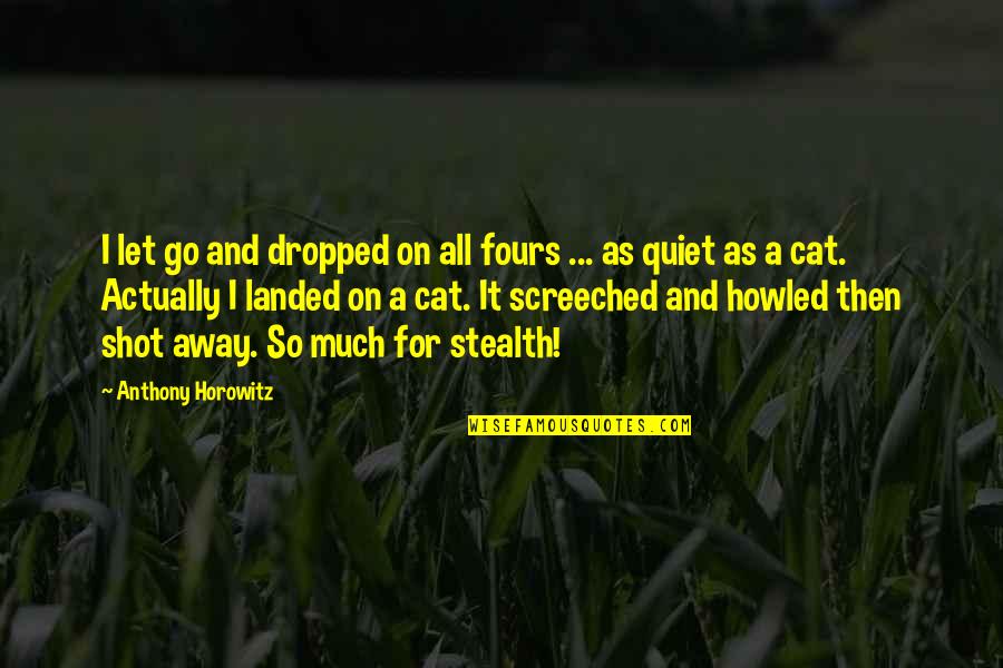 Stealth Quotes By Anthony Horowitz: I let go and dropped on all fours