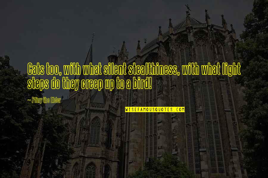 Stealthiness 3 Quotes By Pliny The Elder: Cats too, with what silent stealthiness, with what Stealthiness 3 Quotes By Pliny The Elder: Cats too, with what silent stealthiness, with what