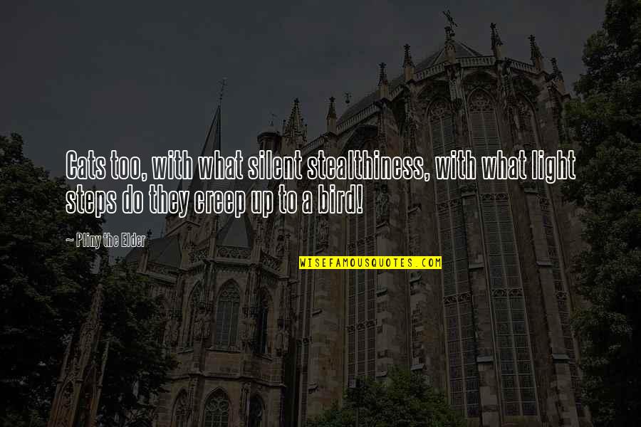 Stealthiness Quotes By Pliny The Elder: Cats too, with what silent stealthiness, with what Stealthiness Quotes By Pliny The Elder: Cats too, with what silent stealthiness, with what