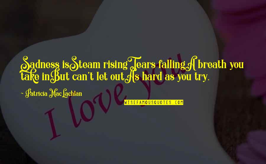 Steam Quotes By Patricia MacLachlan: Sadness isSteam risingTears fallingA breath you take inBut