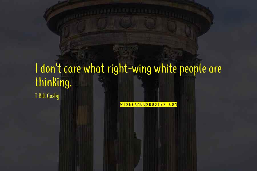 Steam Theme Song Quotes By Bill Cosby: I don't care what right-wing white people are