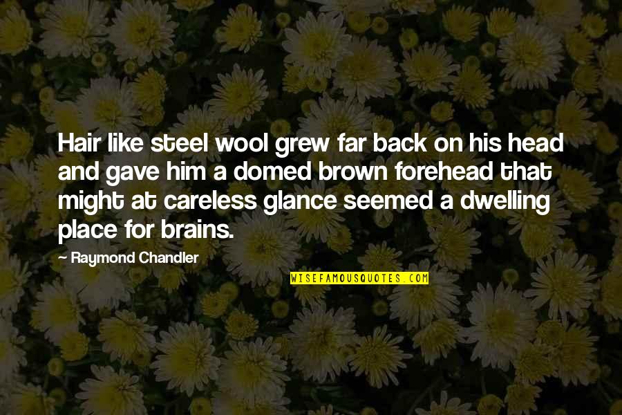 Steel Wool Quotes By Raymond Chandler: Hair like steel wool grew far back on