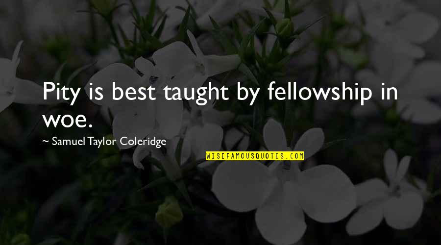 Steele Thermo Quotes By Samuel Taylor Coleridge: Pity is best taught by fellowship in woe. Steele Thermo Quotes By Samuel Taylor Coleridge: Pity is best taught by fellowship in woe.