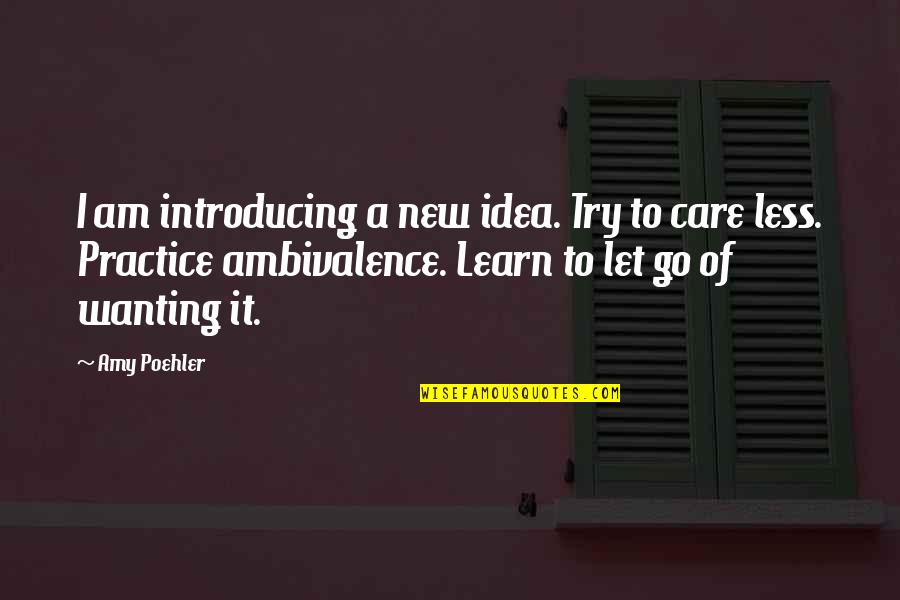 Steenas Suds Quotes By Amy Poehler: I am introducing a new idea. Try to Steenas Suds Quotes By Amy Poehler: I am introducing a new idea. Try to