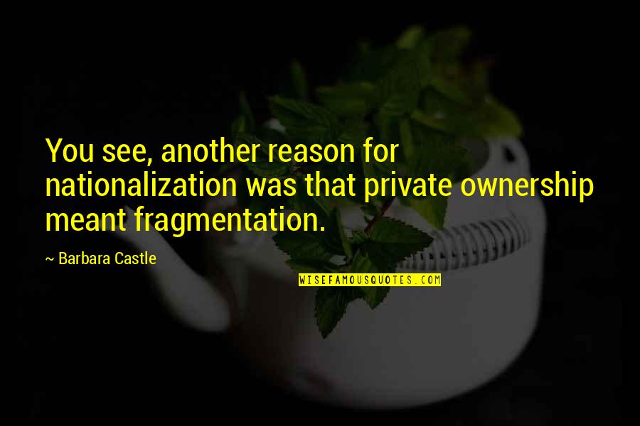 Steensen Jet Quotes By Barbara Castle: You see, another reason for nationalization was that