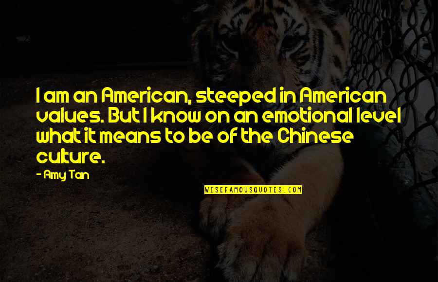 Steeped Quotes By Amy Tan: I am an American, steeped in American values.