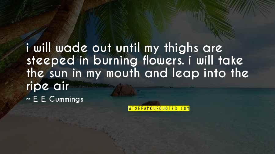 Steeped Quotes By E. E. Cummings: i will wade out until my thighs are