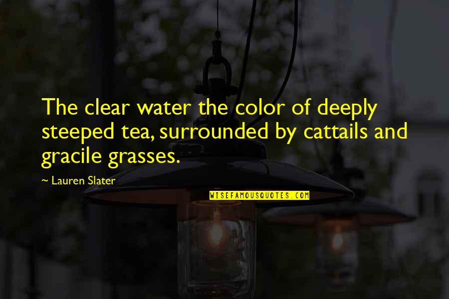 Steeped Quotes By Lauren Slater: The clear water the color of deeply steeped