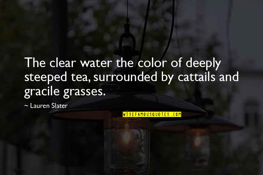 Steeped Tea Quotes By Lauren Slater: The clear water the color of deeply steeped
