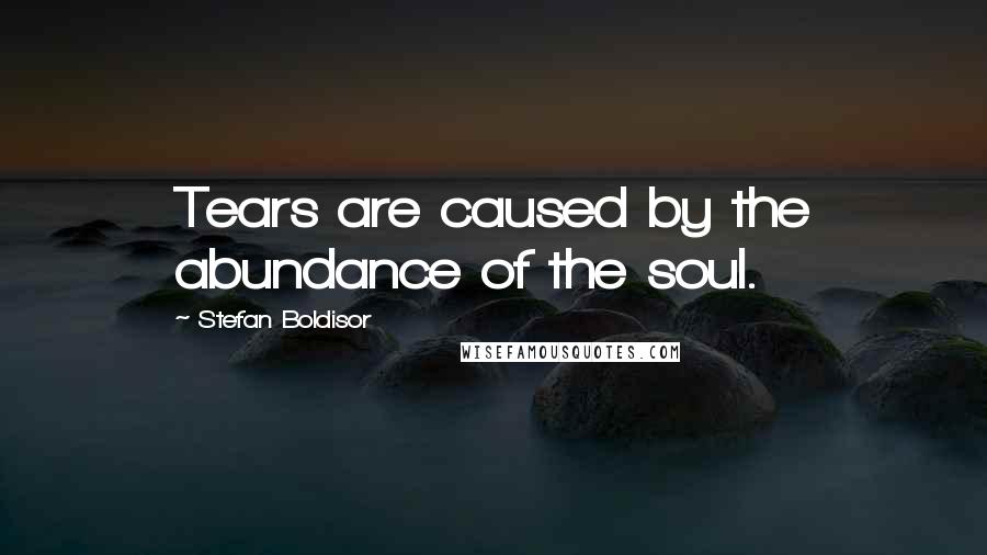 Stefan Boldisor quotes: Tears are caused by the abundance of the soul.