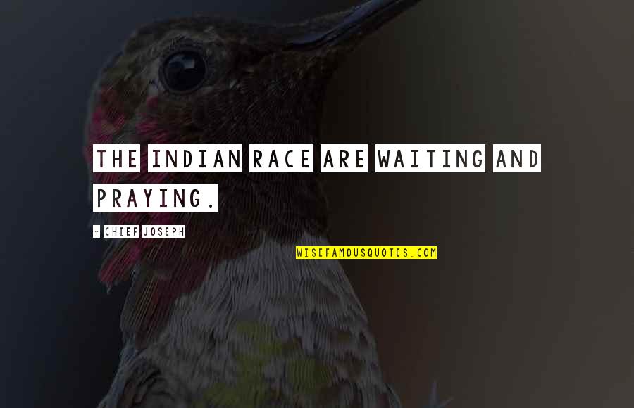 Stefannie Wheat Quotes By Chief Joseph: The Indian race are waiting and praying. Stefannie Wheat Quotes By Chief Joseph: The Indian race are waiting and praying.