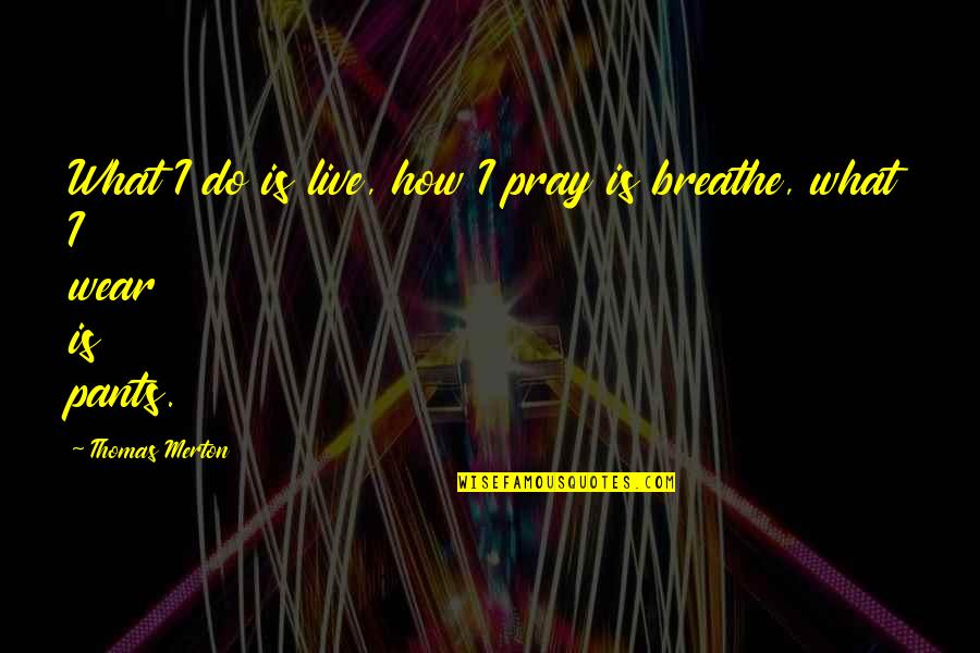 Stefanson Law Quotes By Thomas Merton: What I do is live, how I pray Stefanson Law Quotes By Thomas Merton: What I do is live, how I pray