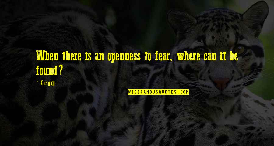Stefanyshyn Law Quotes By Gangaji: When there is an openness to fear, where