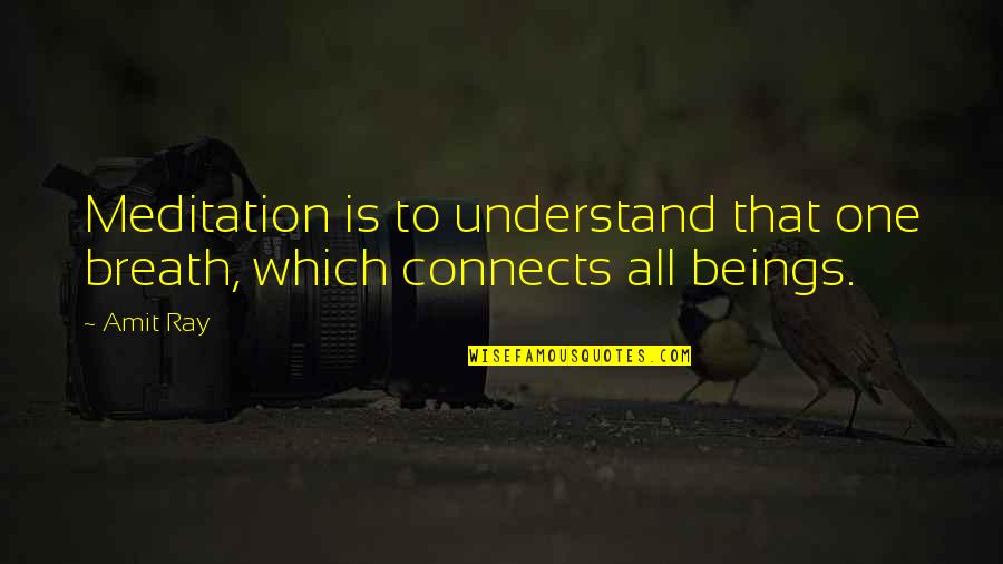 Steffler Meats Quotes By Amit Ray: Meditation is to understand that one breath, which
