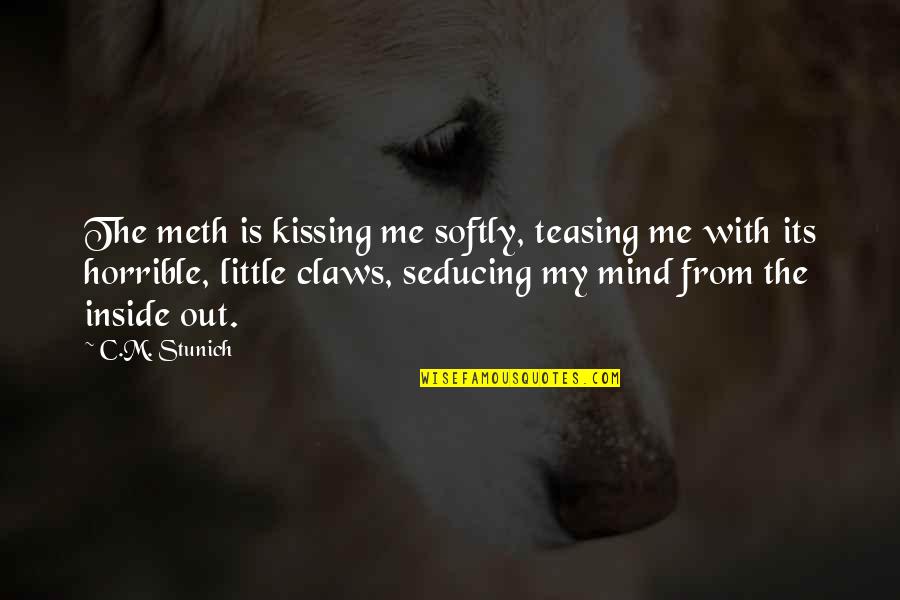 Stegers Lawn Quotes By C.M. Stunich: The meth is kissing me softly, teasing me